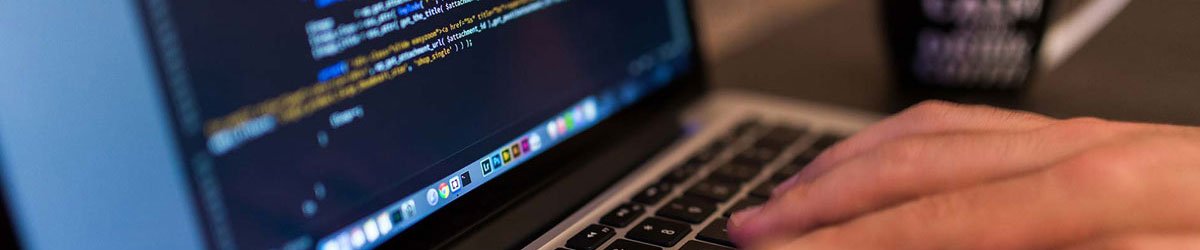 Website Development Service